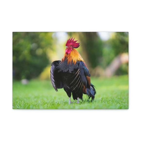 Majestic Rooster Art Majestic Rooster Print Animal Wall Art